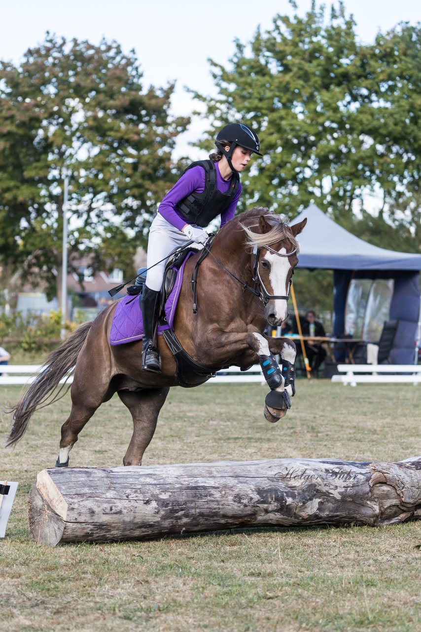 Bild 200 - Pony Akademie Turnier